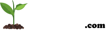 SyberianHealth.com -Syberyjskie Zdrowie